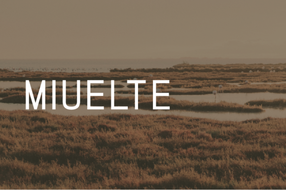 How Miuelte Transformed My Campaign Visuals