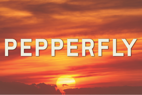 Pepperfly: A Modern Sans Serif for Bold Branding