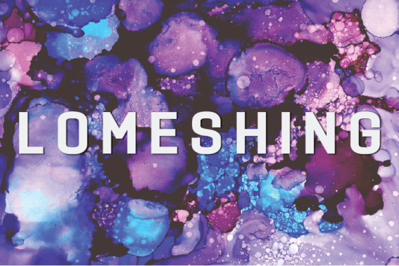 Testing Lomeshing for a Modern Web Design Project